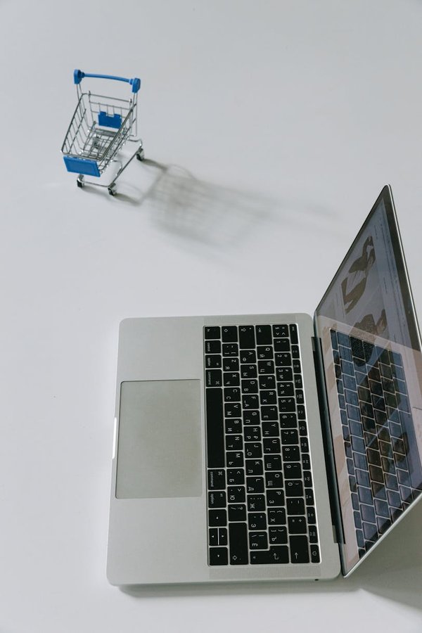 David Webdesigner
